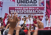 ‘El rey del cash’: Así habría lavado dinero AMLO para financiar campañas presidenciales