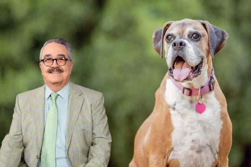 Pedro Sola se disculpa por comentario sobre envenenar perros: ‘Los tiempos son diferentes’