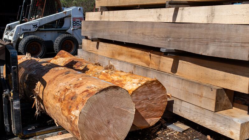 Canadá abre la puerta a limitar exportaciones de madera para calmar a Trump y sus aranceles