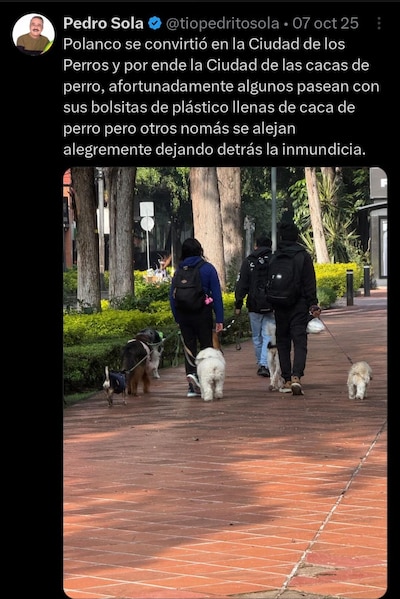 Pedro Sola criticó que los perros paseen en parques y calles de Polanco. (Foto: Captura)