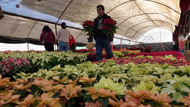 CDMX regala colchones, estufas y refrigeradores en Xochimilco: ¿Qué requisitos necesitas para la ayuda?