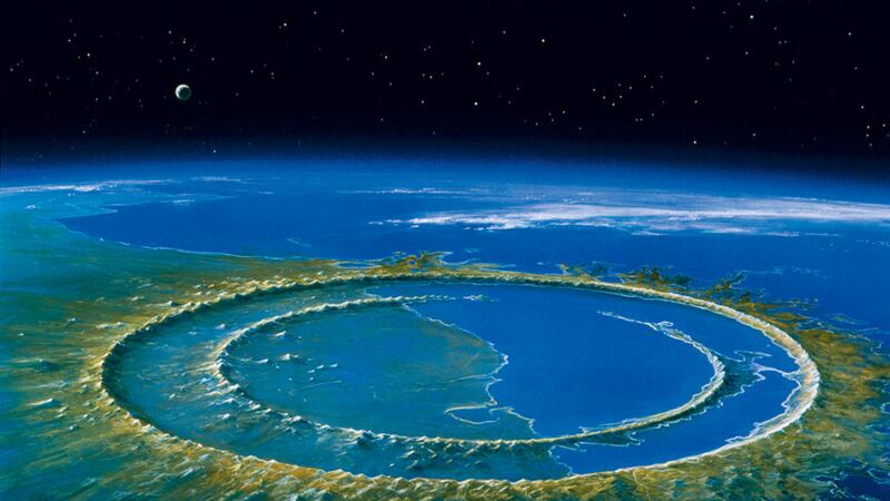 Defaunación: ¿Qué tan cerca estamos de la sexta extinción masiva de especies en la Tierra?