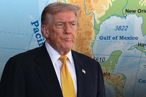 Ecologistas ‘imploran’ a Trump no perforar zona petrolera del Golfo de México: ‘Destruirá la vida marina’
