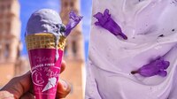 ¿Ya probaste el helado de jacaranda? Conoce la delicia floral de esta nevería tradicional