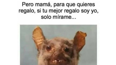Los mejores memes del Día de las Madres. (Foto: Captura Redes Sociales)