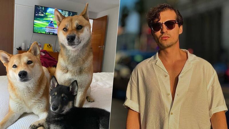 Memo Aponte responde a las acusaciones de maltrato animal en su contra: ‘Sí les doy gotas’