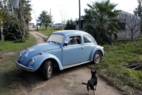 Este es el lugar donde Pepe Mujica pidió ser enterrado: ‘En ese árbol, junto a Manuela’