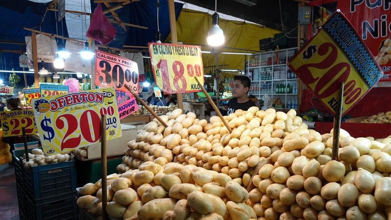 ¿Por qué el ‘PACIC 2.0′ de AMLO puede convertirse en un problema de salud?