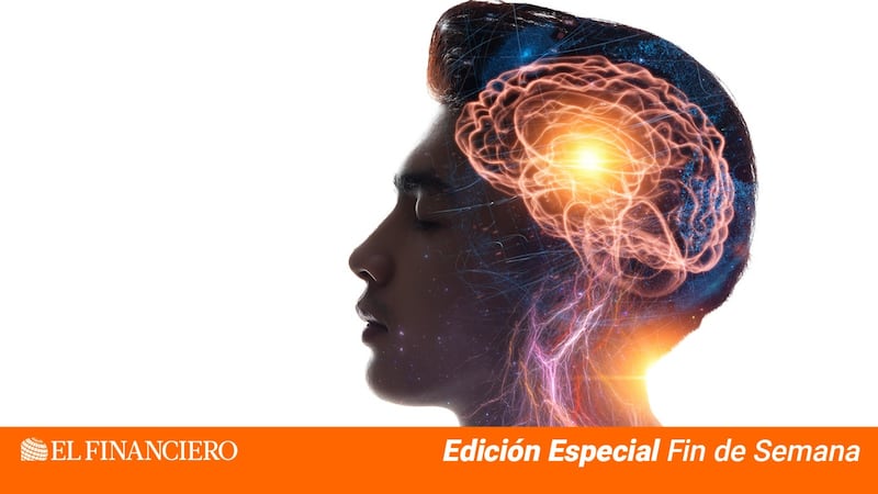 Descubre los seis niveles del pensamiento y comunicación