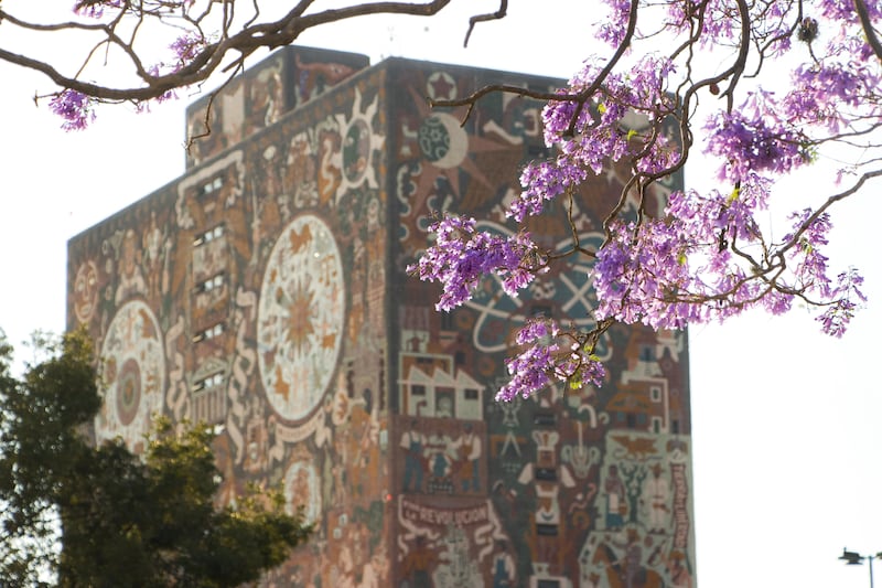 Pase automático de la UNAM 2026: Fechas clave y todo lo que tienes que saber para hacer el trámite