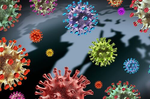 ¿Qué es el Virus del Oeste del Nilo? Así es como se contagia y sus síntomas