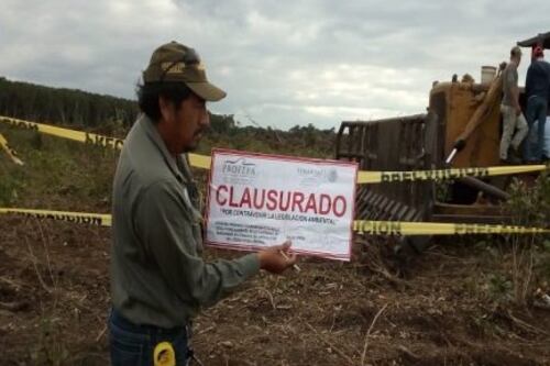 Clausuran predio en Campeche por desmonte de más de 24 hectáreas