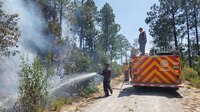 Onda de calor: Gobierno Veracruz prohíbe quemas agropecuarias por incendios forestales