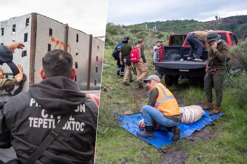 Acusan a Profepa de montaje en caso del tigre Kenzo: Así habría sido el fallido operativo de rescate