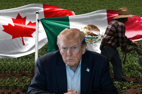 EU propone aranceles de al menos 10% a México y Canadá tras investigación por trabajos forzados