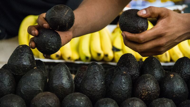 Ferias del Bienestar CMDX: Aquí puedes conseguir la canasta básica hasta 200 pesos más barata