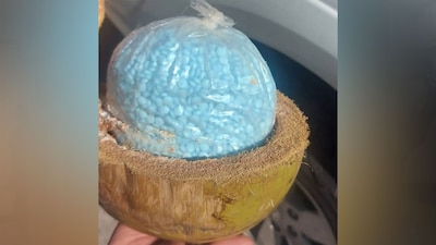 La pareja fue detenida en seguimiento a una denuncia anónima que reportó el transporte de grandes cantidades de droga