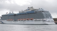 Reportan brote de norovirus en un crucero que salió de Florida; hay más de 100 contagiados