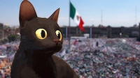‘Flow’ gratis en el Zócalo CDMX: Fecha, horario y todo lo que debes saber