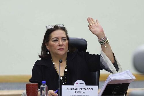 Ganan espacios los tabasqueños en el INE