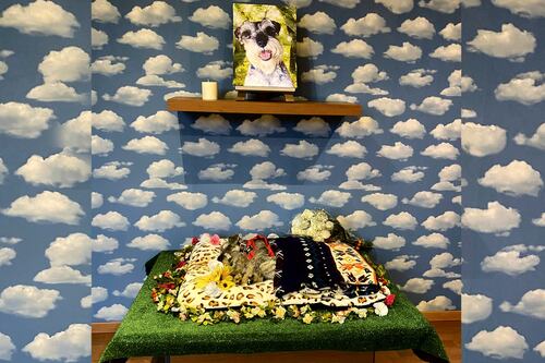 Bye Bye Friend lidera funerarias de mascotas en México