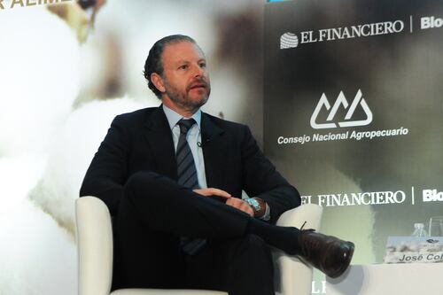 Este es el plan del sector textil para lograr la autosuficiencia en producción del algodón