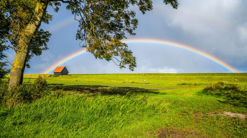 La luz del Sol y pequeñas gotas: cómo se forma el arcoíris