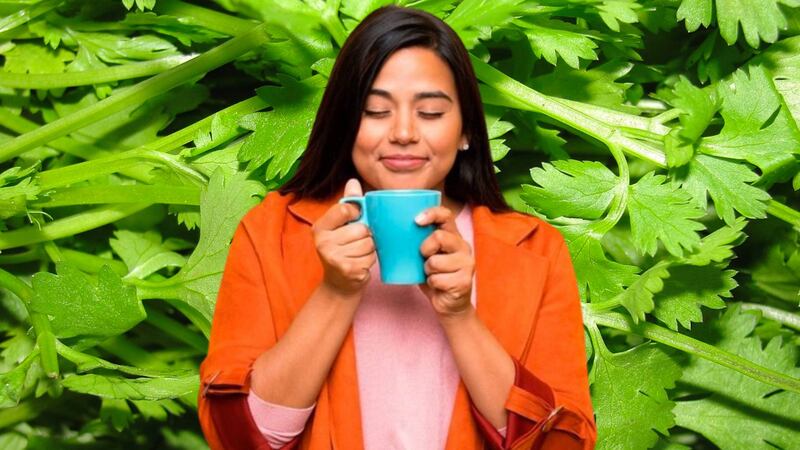 ¿Para qué sirve el té de cilantro?