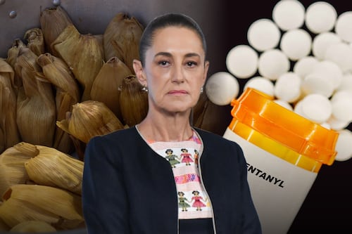 Sheinbaum pide investigación por caso de niños intoxicados con tamales de fentanilo: ‘Cómo es que llegó’