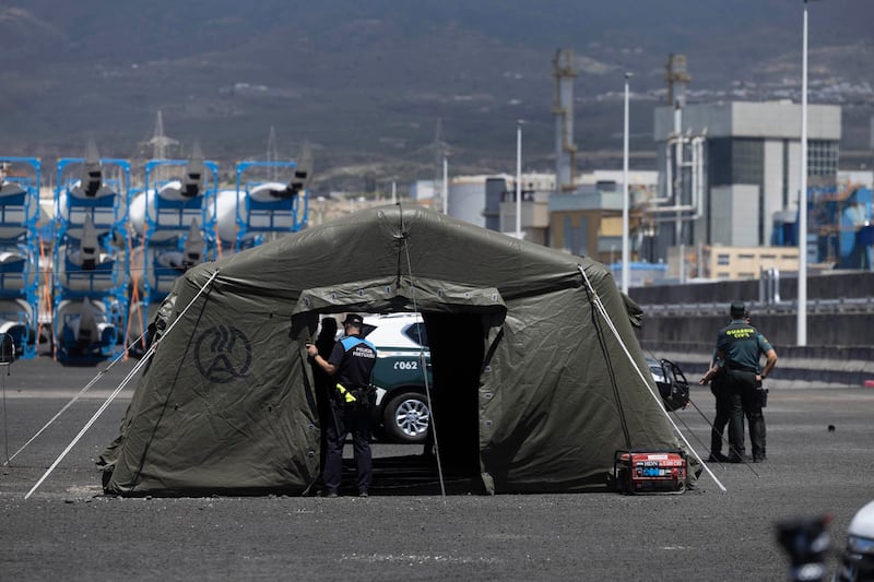 Contagios de hantavirus en crucero: Paciente de EU da positivo y otro tiene ‘síntomas leves’