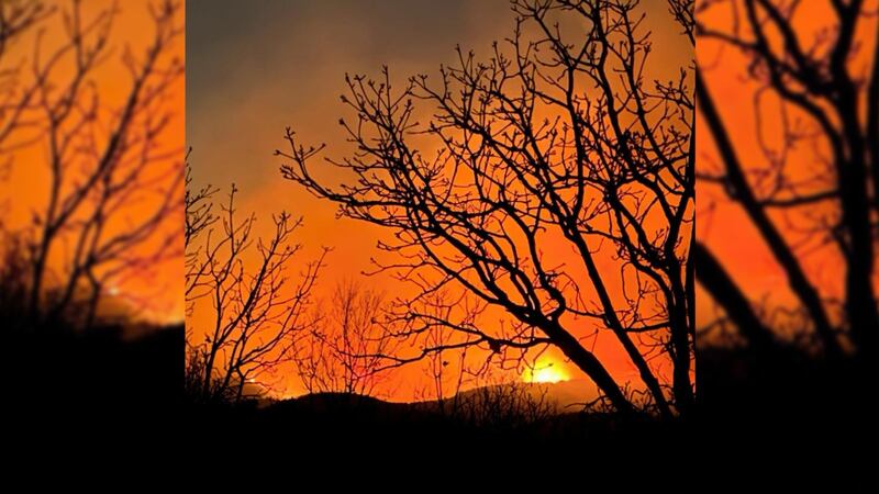 Incendio forestal en Guanajuato: Más de 2 mil hectáreas de reserva natural han sido arrasadas