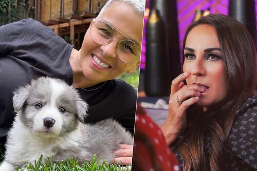 Consuelo Duval señala a Federica, de Kabah, de abandonar perros; Quijano procederá legalmente