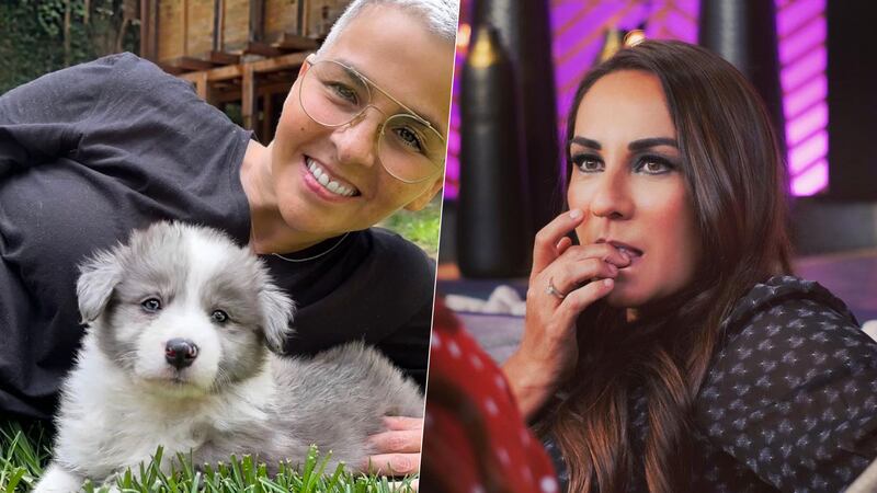 Consuelo Duval señala a Federica, de Kabah, de abandonar perros; Quijano procederá legalmente