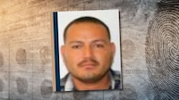 Harfuch afirma que van por ‘El Bótox’, líder de Los Blancos de Troya, tras mensajes amenazantes