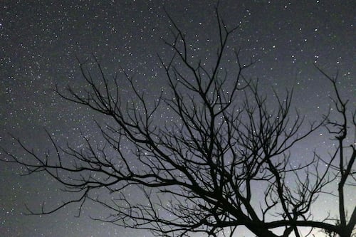 Lluvia de estrellas 2022: ¿Cuándo y a qué hora ver el último evento astronómico de este tipo?