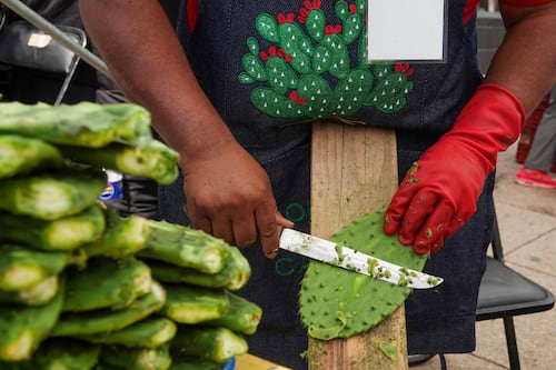 Nopal: el siguiente superpoderoso verde