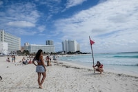 Hoteles de la Riviera Maya están ‘limpios’ de parásito que provoca la diarrea explosiva, informa Cofepris