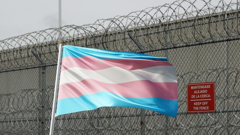 Liberan a mujer trans mexicana que solicitó asilo en EU y fue detenida por ICE