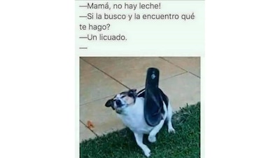 Los mejores memes del Día de las Madres. (Foto: Captura Redes Sociales)