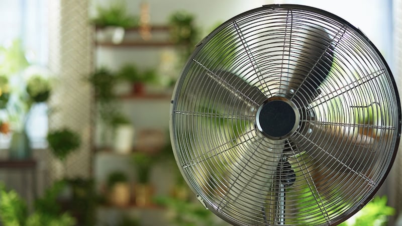 Onda de calor sale cara: Estas zonas del país incrementaron su demanda de energía eléctrica