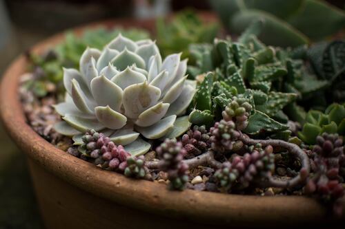Conoce el Palacio de la Flor en Xochimilco