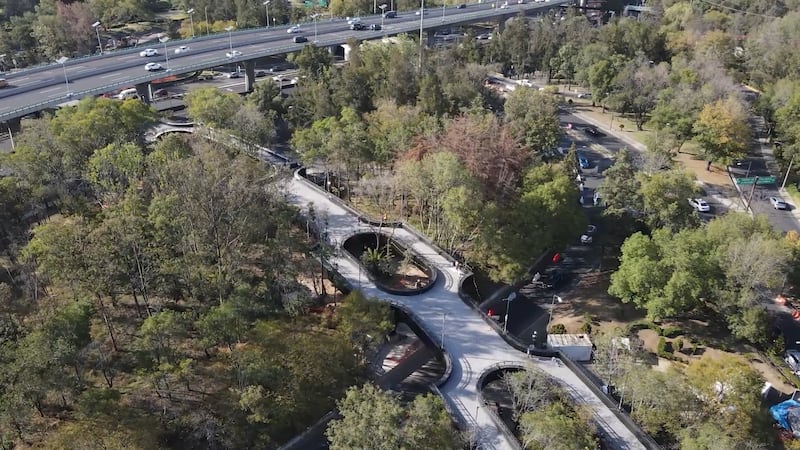 Desempolva la bici: Así es la Calzada Flotante que une 1ra y 2da Sección de Chapultepec