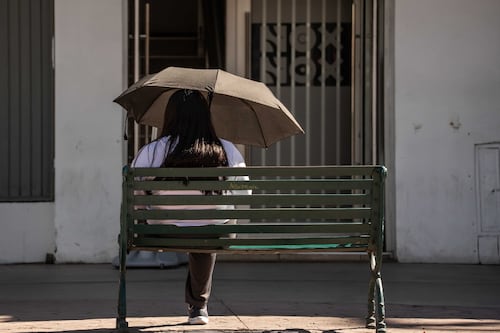 Clima para CDMX y Edomex: Sábado 7 de marzo tendrá mañanas frescas y tardes soleadas