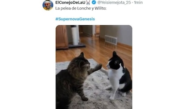 Los mejores memes de Supernova 2026. (Foto: Captura)