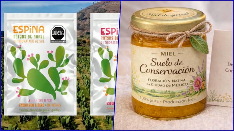 Botanas del Mundial 2026: ¿Qué sabemos de los ‘snacks’ que impulsará la CDMX?