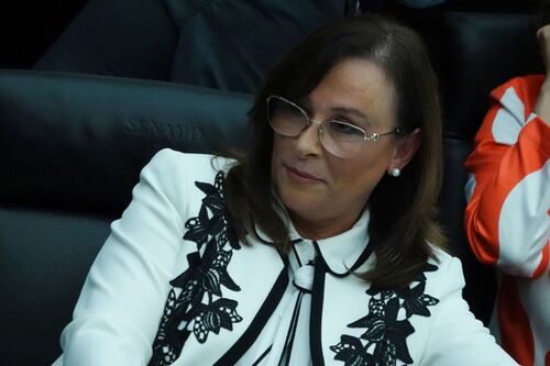 ‘Es falso’: Rocío Nahle niega muerte de tortugas y delfines por derrame de hidrocarburos en Veracruz