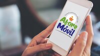 ¿Te quieres cambiar de Afore? Estas son las mejor calificadas, según la Condusef