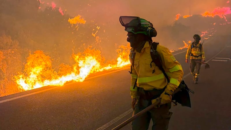 Incendio forestal en España deja 12 muertos y 23 desaparecidos: ‘Es el más grave que ha ocurrido’