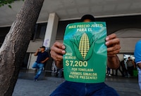 Se está gestando una crisis del maíz en México