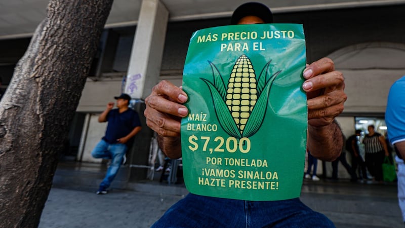 Se está gestando una crisis del maíz en México